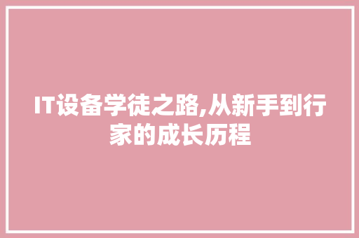IT设备学徒之路,从新手到行家的成长历程