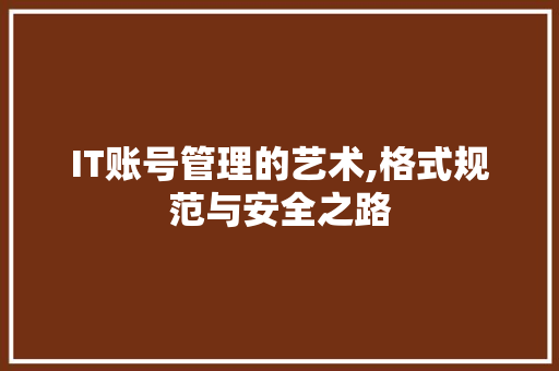 IT账号管理的艺术,格式规范与安全之路 必应SEO