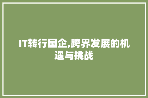 IT转行国企,跨界发展的机遇与挑战