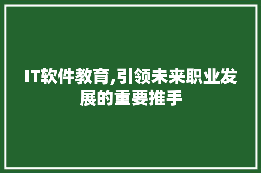 IT软件教育,引领未来职业发展的重要推手