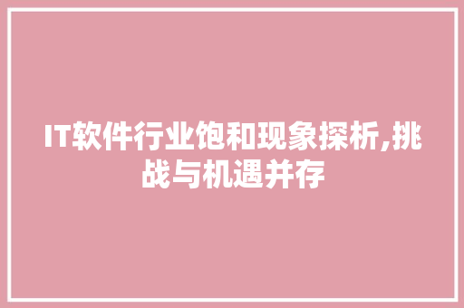 IT软件行业饱和现象探析,挑战与机遇并存