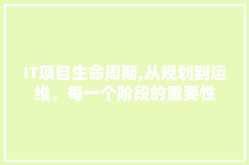IT项目生命周期,从规划到运维，每一个阶段的重要性