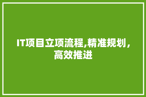 IT项目立项流程,精准规划，高效推进