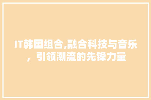 IT韩国组合,融合科技与音乐，引领潮流的先锋力量