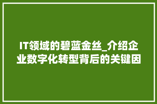 IT领域的碧蓝金丝_介绍企业数字化转型背后的关键因素