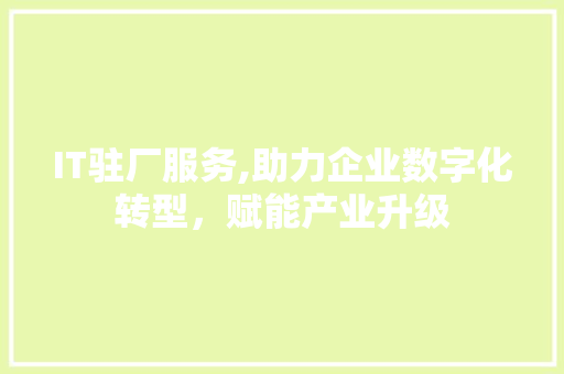 IT驻厂服务,助力企业数字化转型，赋能产业升级
