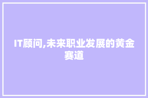 IT顾问,未来职业发展的黄金赛道