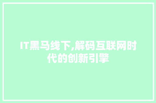 IT黑马线下,解码互联网时代的创新引擎