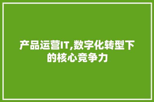 产品运营IT,数字化转型下的核心竞争力