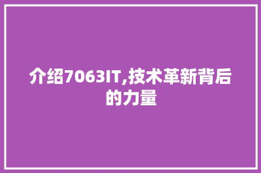 介绍7063IT,技术革新背后的力量
