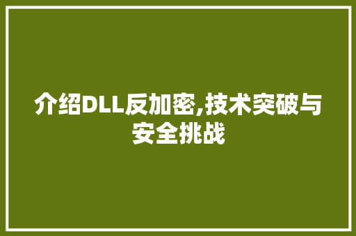 介绍DLL反加密,技术突破与安全挑战