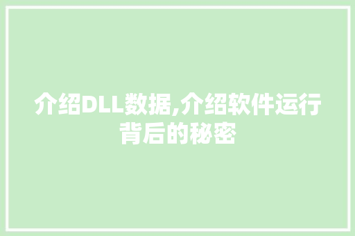 介绍DLL数据,介绍软件运行背后的秘密