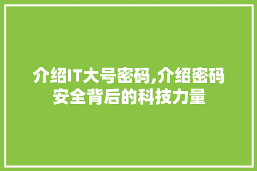 介绍IT大号密码,介绍密码安全背后的科技力量
