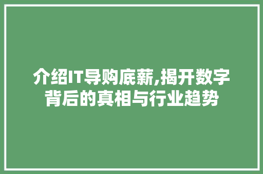介绍IT导购底薪,揭开数字背后的真相与行业趋势