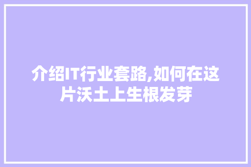 介绍IT行业套路,如何在这片沃土上生根发芽