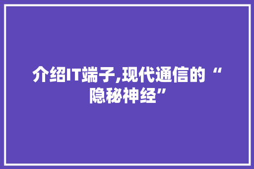 介绍IT端子,现代通信的“隐秘神经”