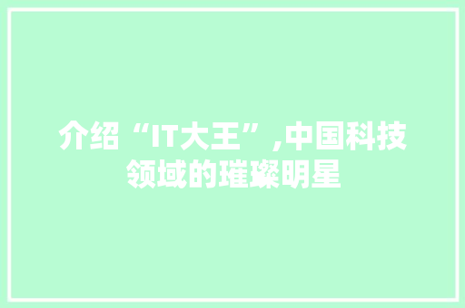 介绍“IT大王”,中国科技领域的璀璨明星