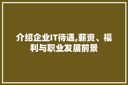 介绍企业IT待遇,薪资、福利与职业发展前景