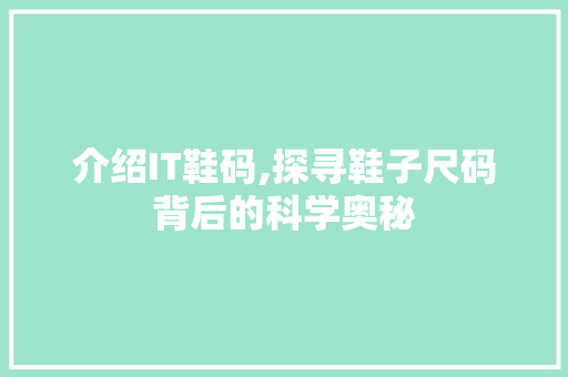 介绍IT鞋码,探寻鞋子尺码背后的科学奥秘