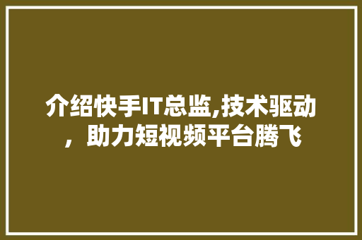介绍快手IT总监,技术驱动，助力短视频平台腾飞