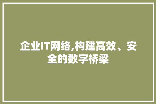 企业IT网络,构建高效、安全的数字桥梁