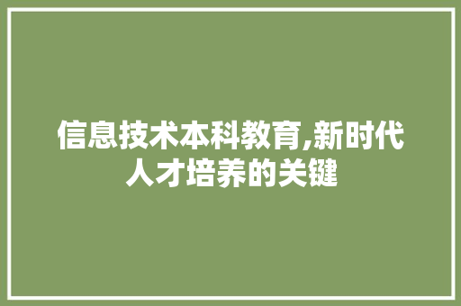 信息技术本科教育,新时代人才培养的关键 网站建设公司