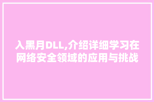 入黑月DLL,介绍详细学习在网络安全领域的应用与挑战