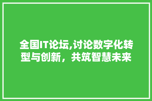 全国IT论坛,讨论数字化转型与创新，共筑智慧未来