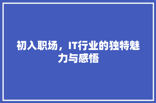 初入职场，IT行业的独特魅力与感悟 神马SEO