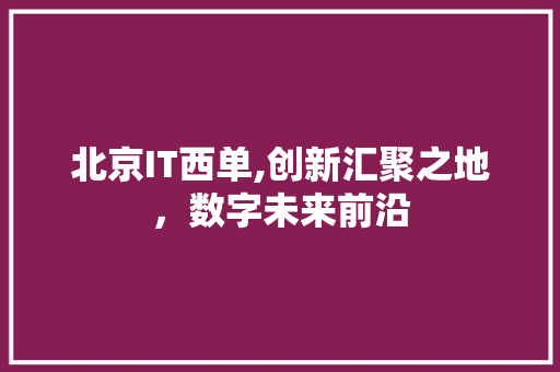 北京IT西单,创新汇聚之地，数字未来前沿