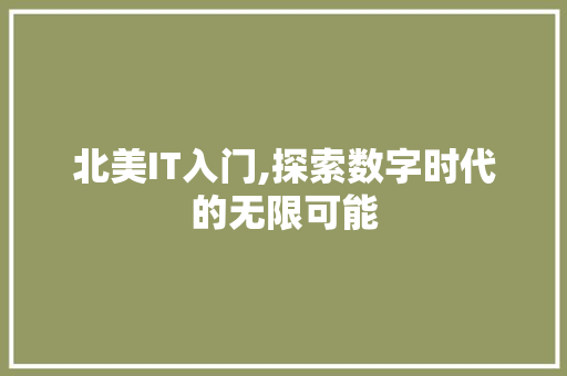 北美IT入门,探索数字时代的无限可能