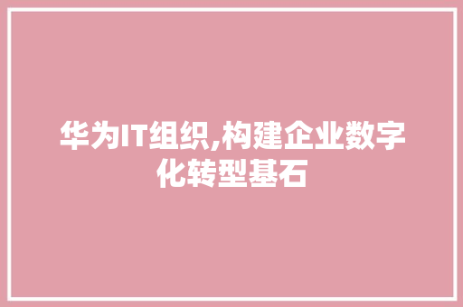 华为IT组织,构建企业数字化转型基石