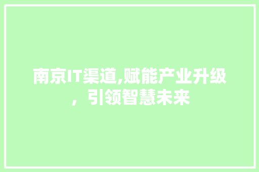 南京IT渠道,赋能产业升级，引领智慧未来
