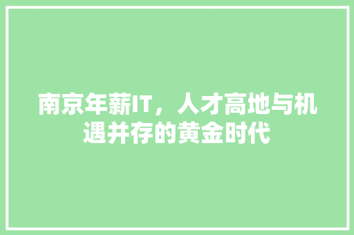 南京年薪IT，人才高地与机遇并存的黄金时代