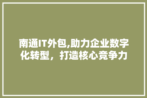 南通IT外包,助力企业数字化转型，打造核心竞争力