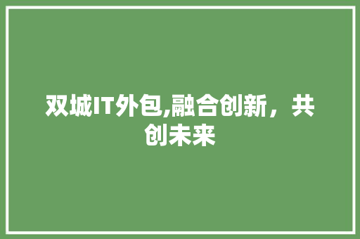 双城IT外包,融合创新，共创未来 必应SEO
