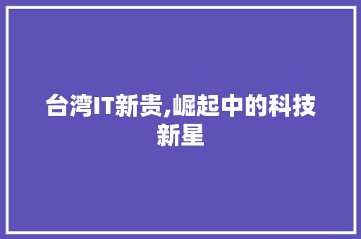 台湾IT新贵,崛起中的科技新星