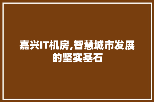 嘉兴IT机房,智慧城市发展的坚实基石