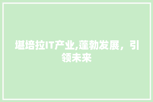 堪培拉IT产业,蓬勃发展，引领未来 必应SEO