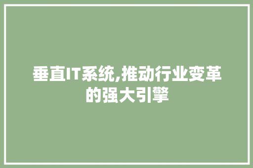 垂直IT系统,推动行业变革的强大引擎