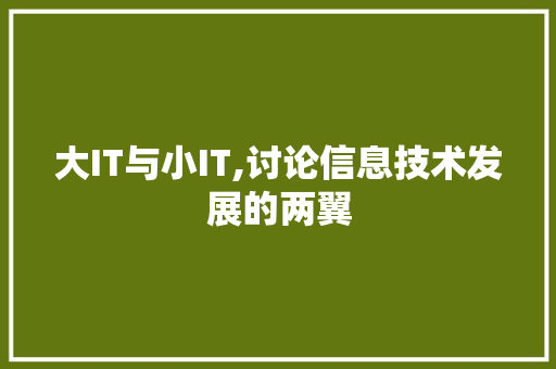 大IT与小IT,讨论信息技术发展的两翼