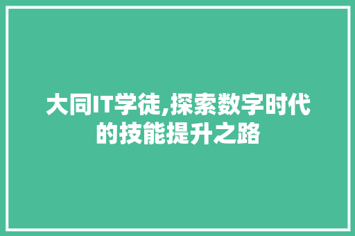 大同IT学徒,探索数字时代的技能提升之路 网站建设公司