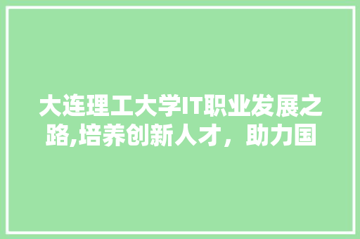 大连理工大学IT职业发展之路,培养创新人才，助力国家信息化建设