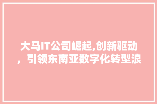 大马IT公司崛起,创新驱动，引领东南亚数字化转型浪潮