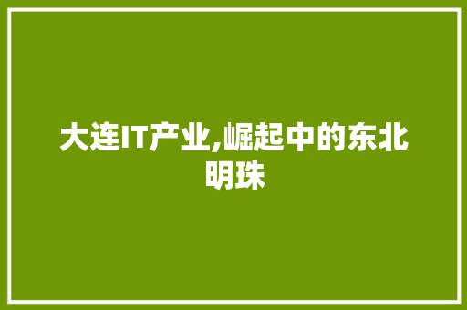 大连IT产业,崛起中的东北明珠