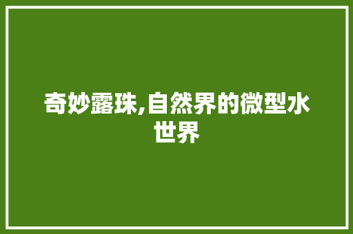 奇妙露珠,自然界的微型水世界 搜狗SEO