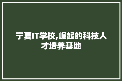 宁夏IT学校,崛起的科技人才培养基地