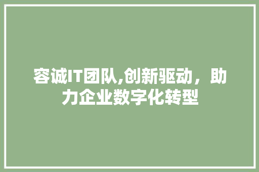 容诚IT团队,创新驱动，助力企业数字化转型