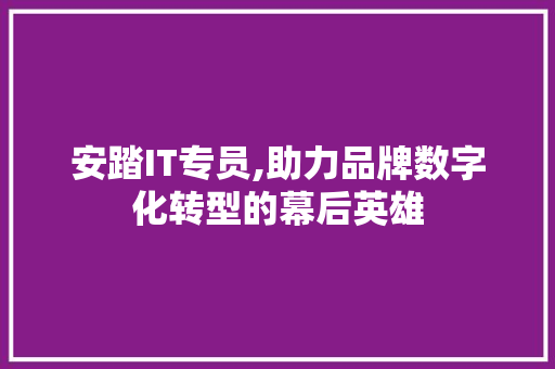 安踏IT专员,助力品牌数字化转型的幕后英雄