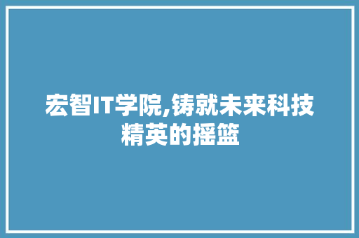 宏智IT学院,铸就未来科技精英的摇篮 必应SEO